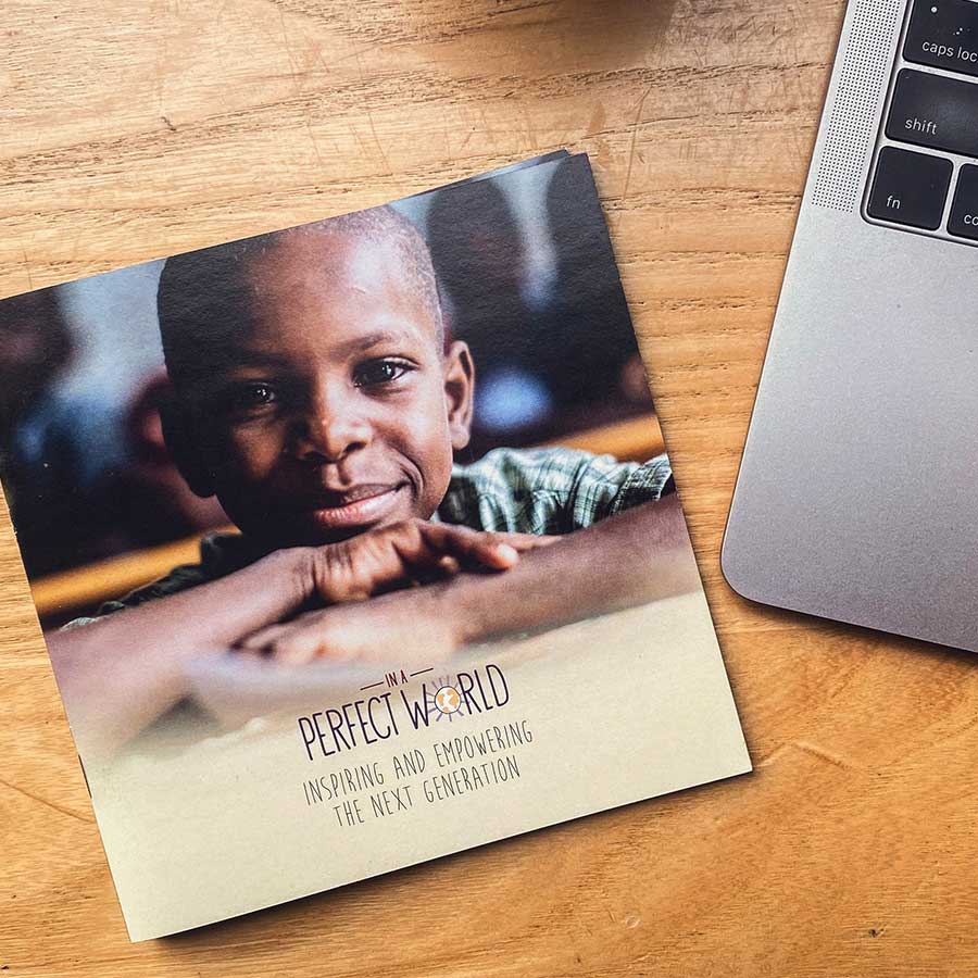 Print Design | In a Perfect World Foundation