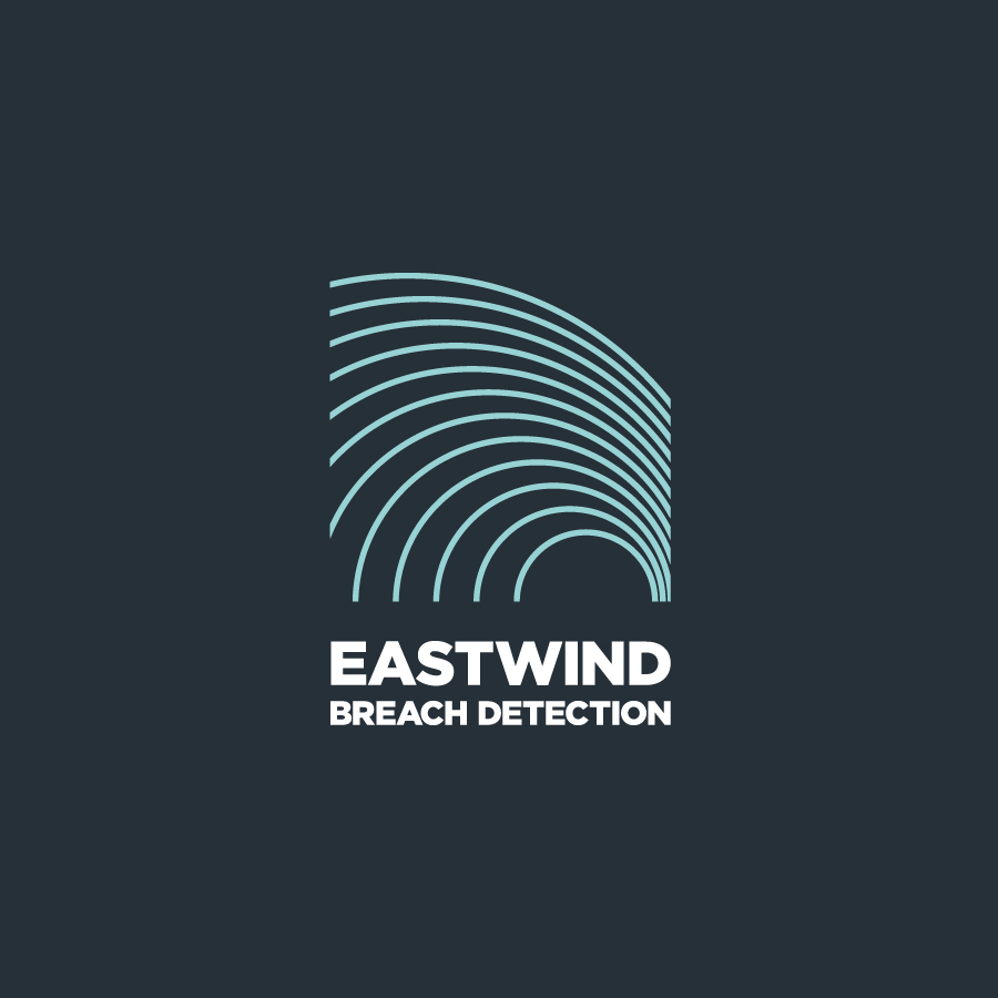 Identity and Branding | Eastwind Networks, Draper, UT